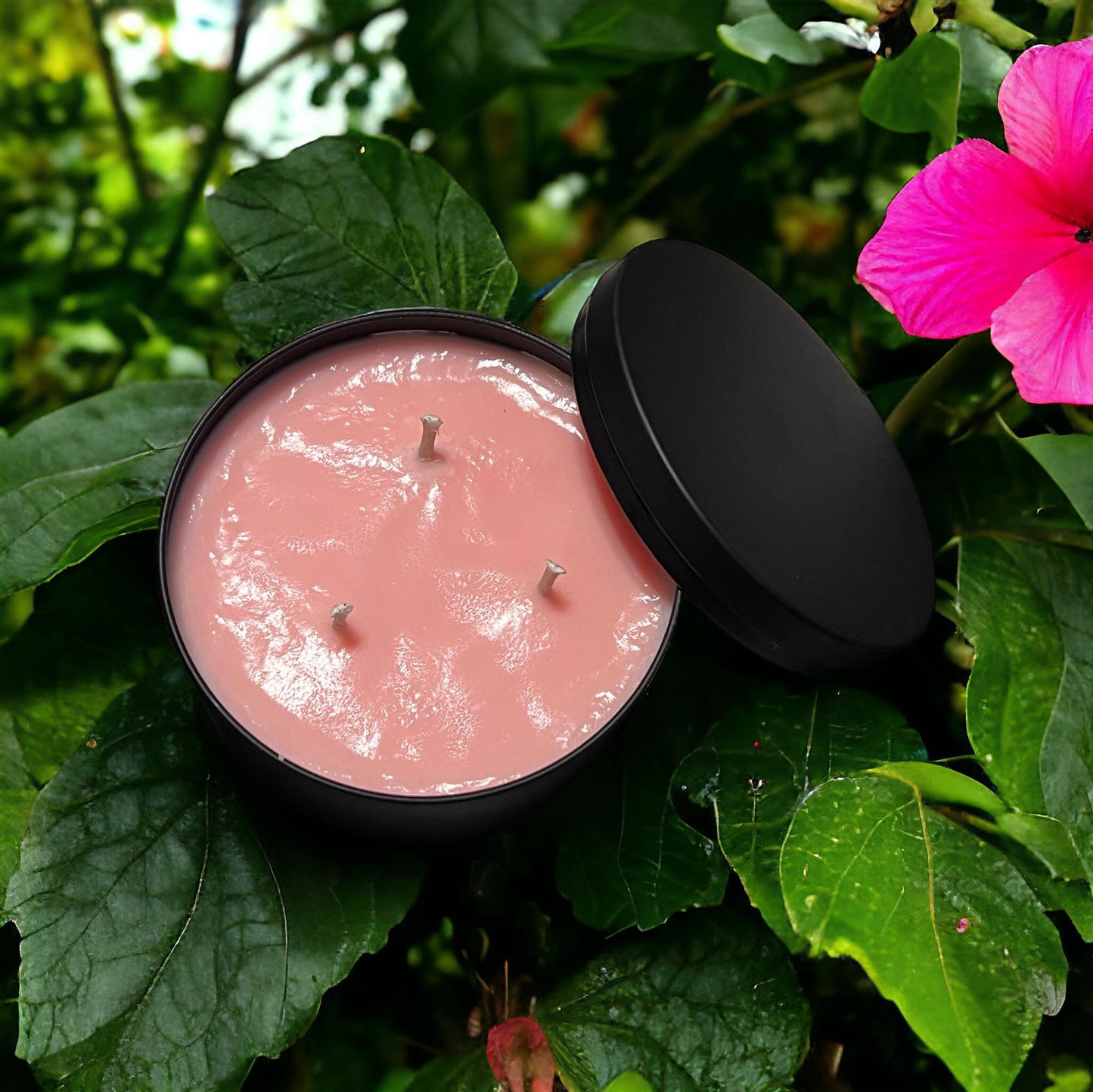 Mischievous (Hawaiian Pink Hibiscus)