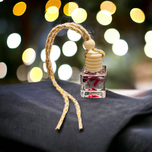 Bridgett Danial (Champagne Toast)
