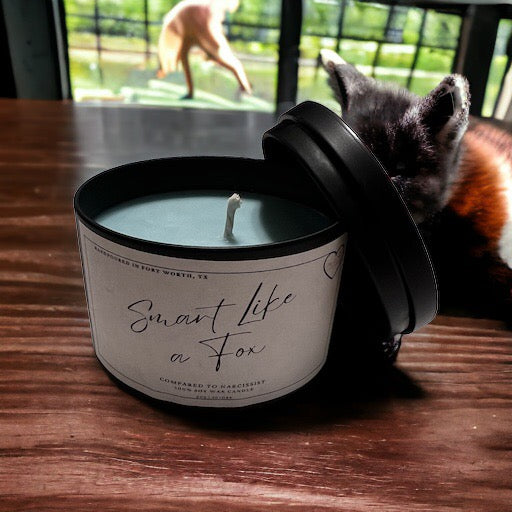 Smart like a Fox (Narcissist)